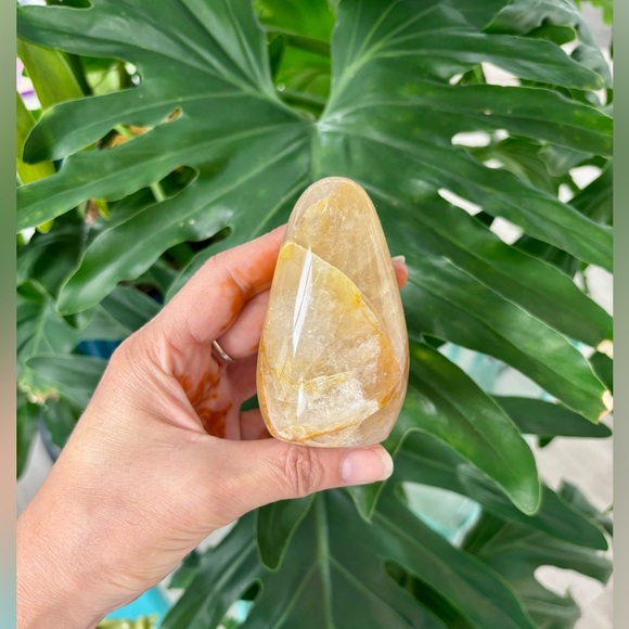 Golden Healer Freeform - Picture 2 of 7